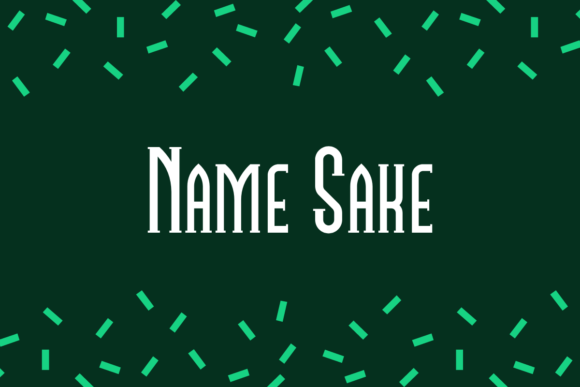 Name Sake Font: A Bold Serif for Small Business Branding